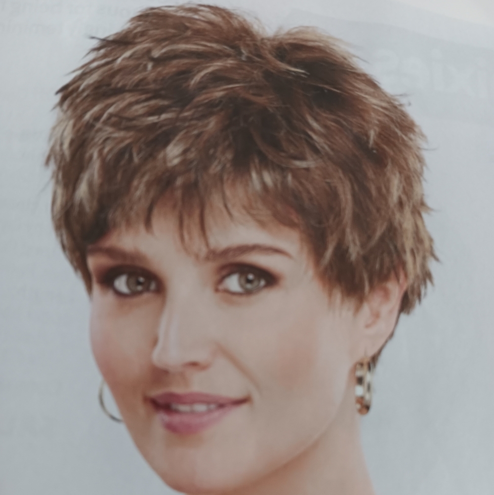 Paula Young Salt And Pepper Wig